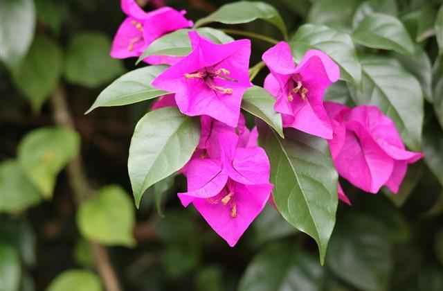 微信2024年网名(1625个) 微信2024年网名(1625个)