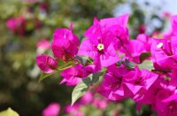 ​2024最火网名霸气四个字(共1578个)