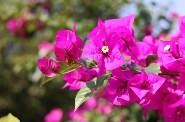 2024最火网名霸气四个字(共1578个) 2024最火网名霸气四个字(共1578个)