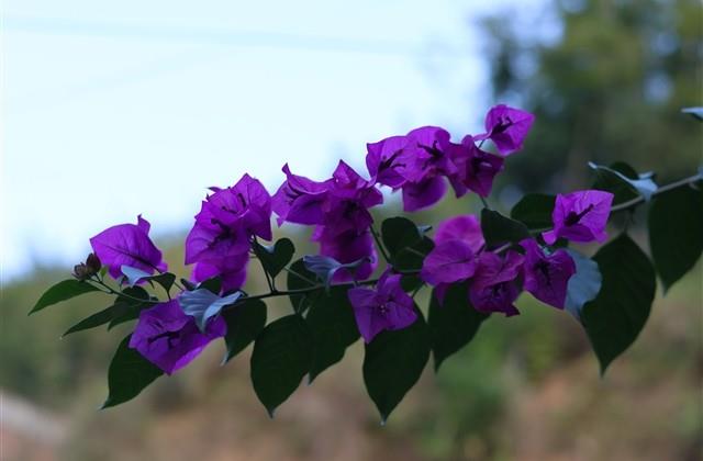 2024最火网名霸气四个字(共1578个) 2024最火网名霸气四个字(共1578个)