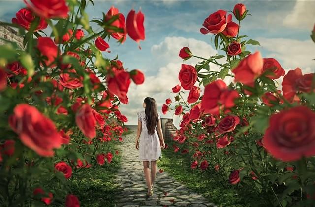 大气有出处的女孩名字（精选）