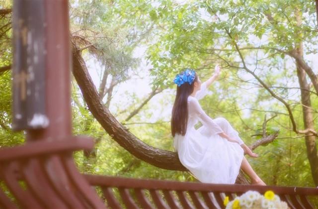 森系小清新女生网名2个字(116个)