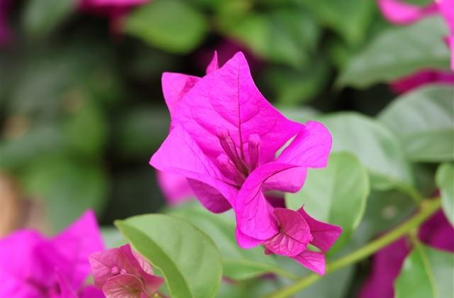 清新诗意男的四字网名(共71个)