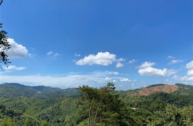 虾米音乐四字网名 虾米音乐昵称四个字