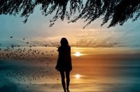 ​霸气的微信网名大全(优选61个)