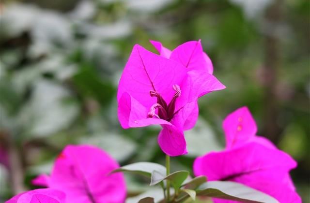 寓意健康长寿的网名(精选59个)