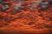 ​精选抖音好听的女生网名(精选689个)