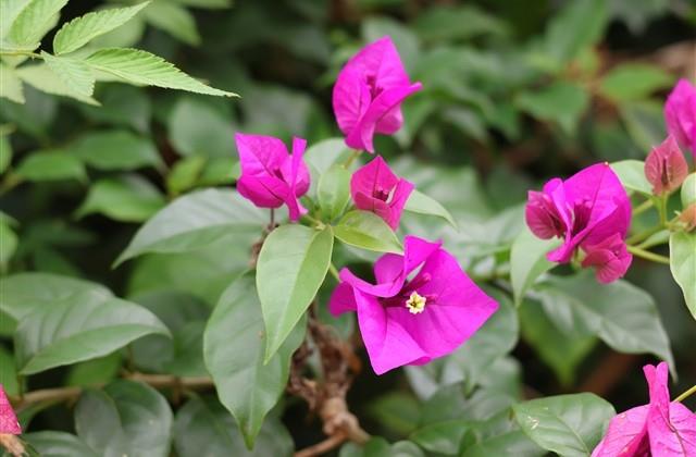 取名大全100分（分享1045个）