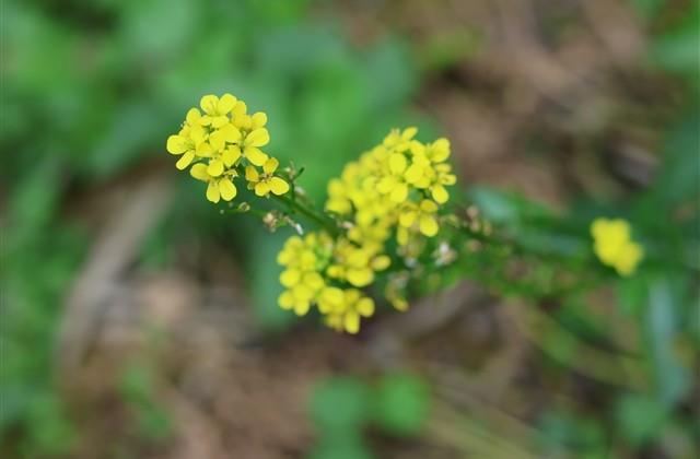看透人心现实的网名