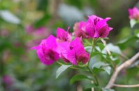 ​寓意最好的微信名字大全(655个)