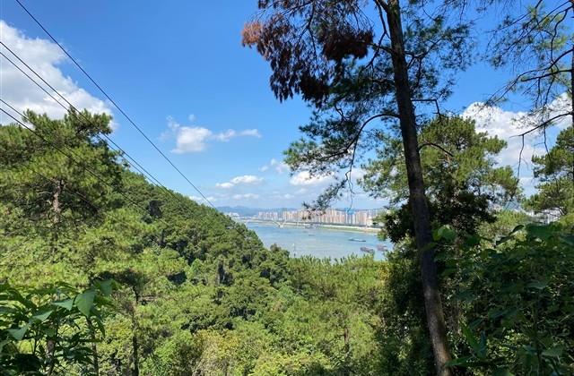 游戏好听的帮派名字