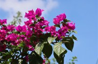 ​QQ炫舞游戏名字(优选544个)