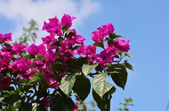 QQ炫舞游戏名字(优选544个)