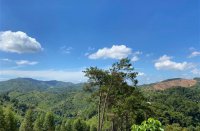 ​一辈子不换的好网名(共563个)