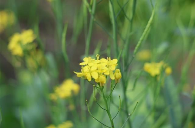 女生甜美可爱的网名(524个)