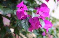 ​高大上的王者荣耀情侣名(精选306个)