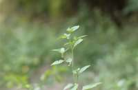 ​超拽超有范的快手网名(精选464个)