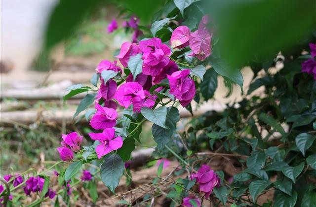 单身男人微信网名(优选403个)