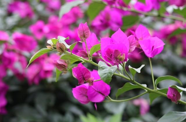 气质有内涵的微信名字 气质有内涵的微信名字