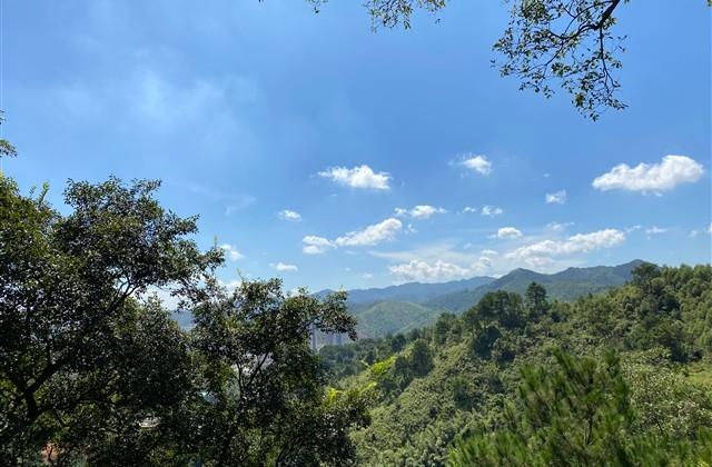 让人忍不住落泪的网名(369个) 让人忍不住落泪的网名(369个)