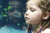 ​2023女宝宝温柔文静诗意名字