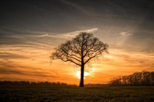 励志奋斗的哲理句子说说心情