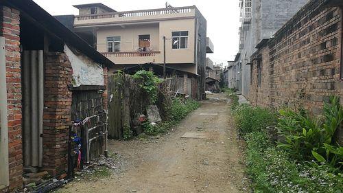 2000年代农村生活图片 2000年代农村照片