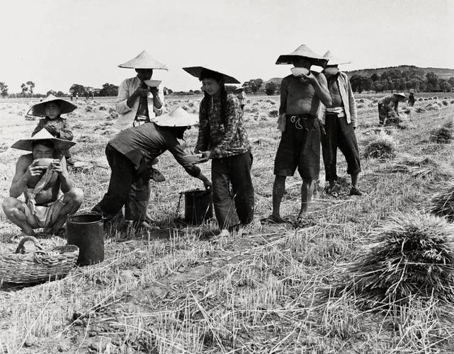 2000年代农村生活图片 2000年代农村照片