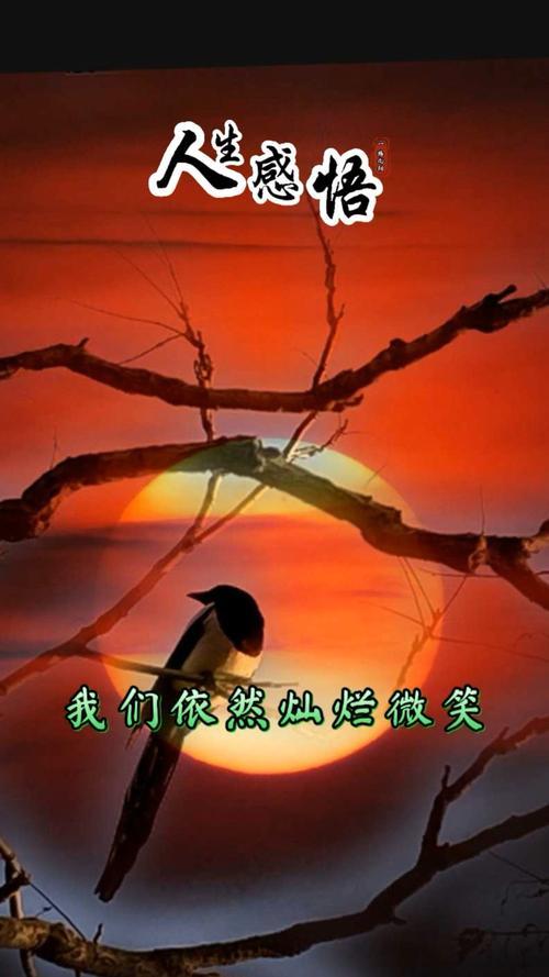 潮起潮落的人生感悟图片 潮起潮落的人生感悟图片带字