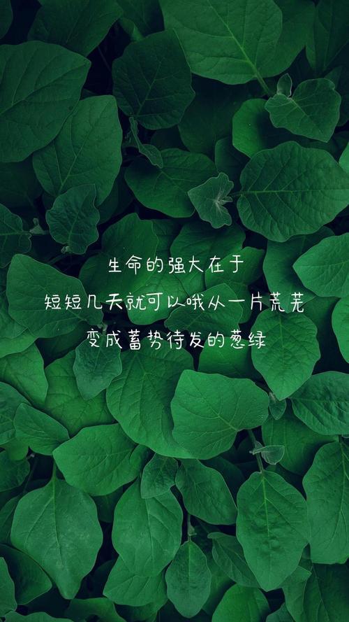 生活励志图片带字图片 生活励志图片带字图片高清