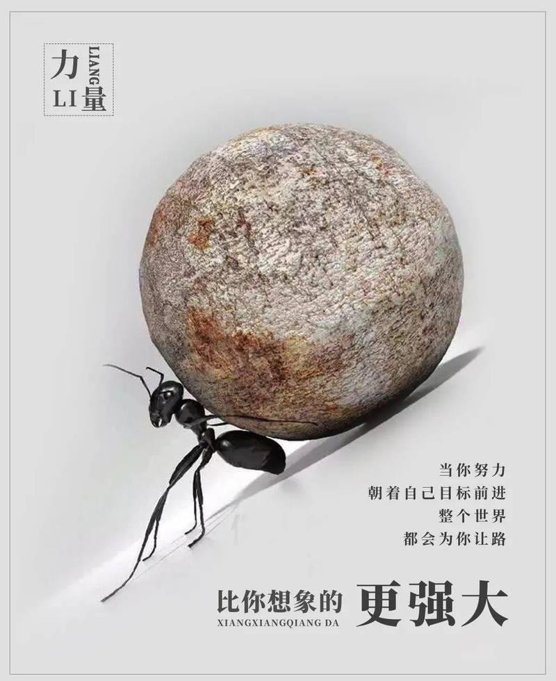 生活励志图片带字图片 生活励志图片带字图片高清