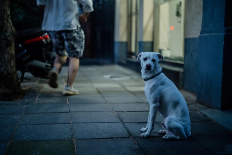 忙碌的图片生活 忙碌的图片带字图片个性的