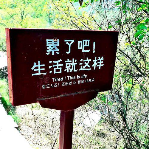 生活很累的图片 生活很累的图片带字