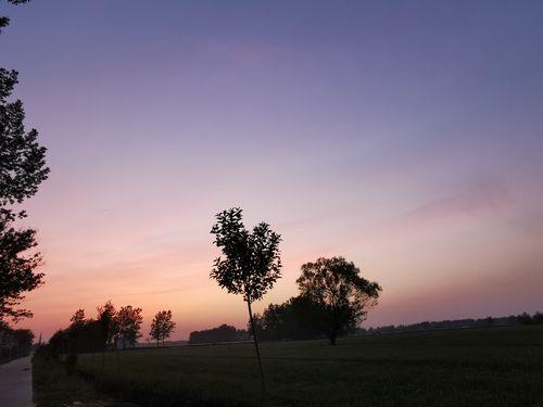 现实生活中图片大全 现实生活图片大全带字图