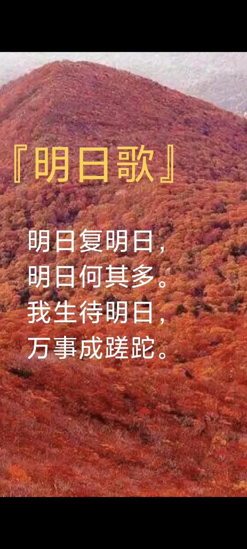 感悟人生图片精美图片 感悟人生图片精美图片带字