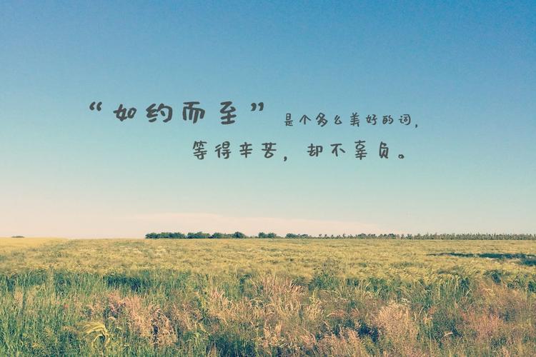 生活的图片带字 生活的图片带字感悟