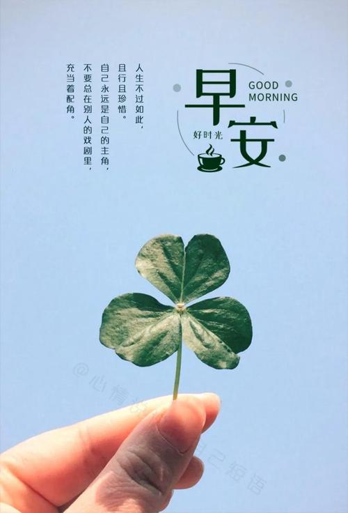 生活的图片带字 生活的图片带字感悟