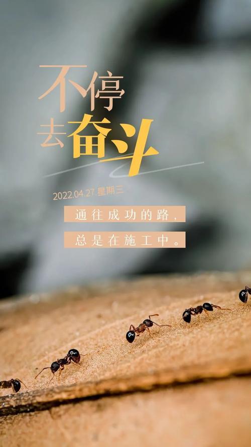 生活的图片带字 生活的图片带字感悟