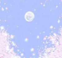 ​拍照赏花的心情说说 春天花开的唯美句子汇总73句