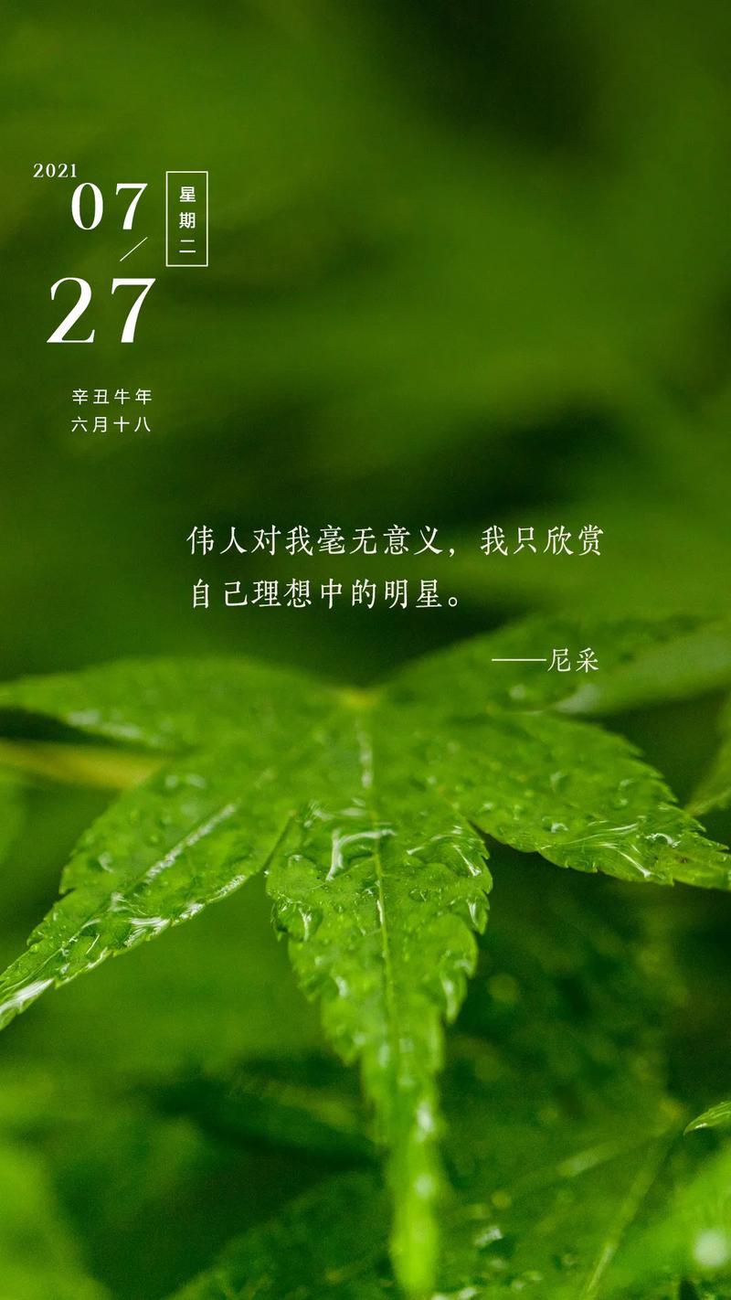 绿色带字图片励志 绿色带字图片励志大全