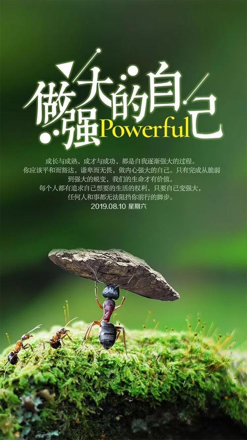 绿色带字图片励志 绿色带字图片励志大全