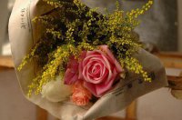 ​五月再见六月你好唯美心情说说汇总68句