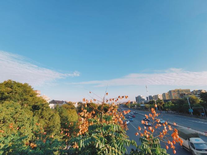 生活的照片图片 生活的照片图片带字