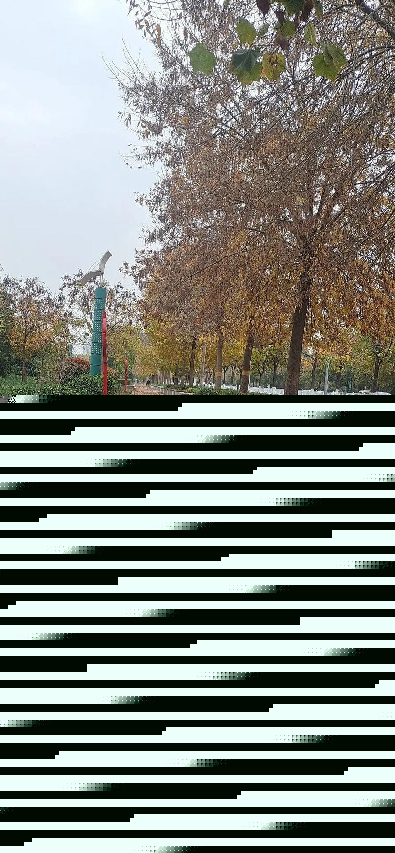 生活的照片图片 生活的照片图片带字