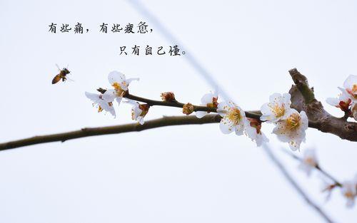 生活带字的图片 生活带字的图片素材