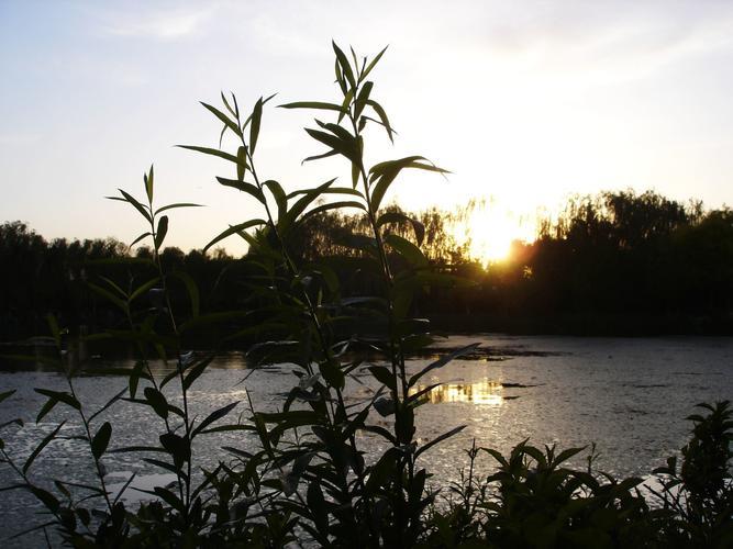 生活之美图片 生活之美图片及解析200字