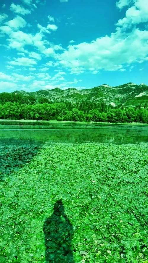 生活之美图片 生活之美图片及解析200字