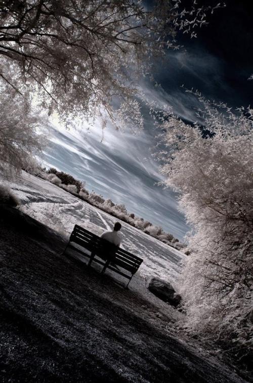 生活的图片伤感唯美 生活的图片带字图片