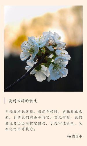 生活美文图片 生活美文图片带字