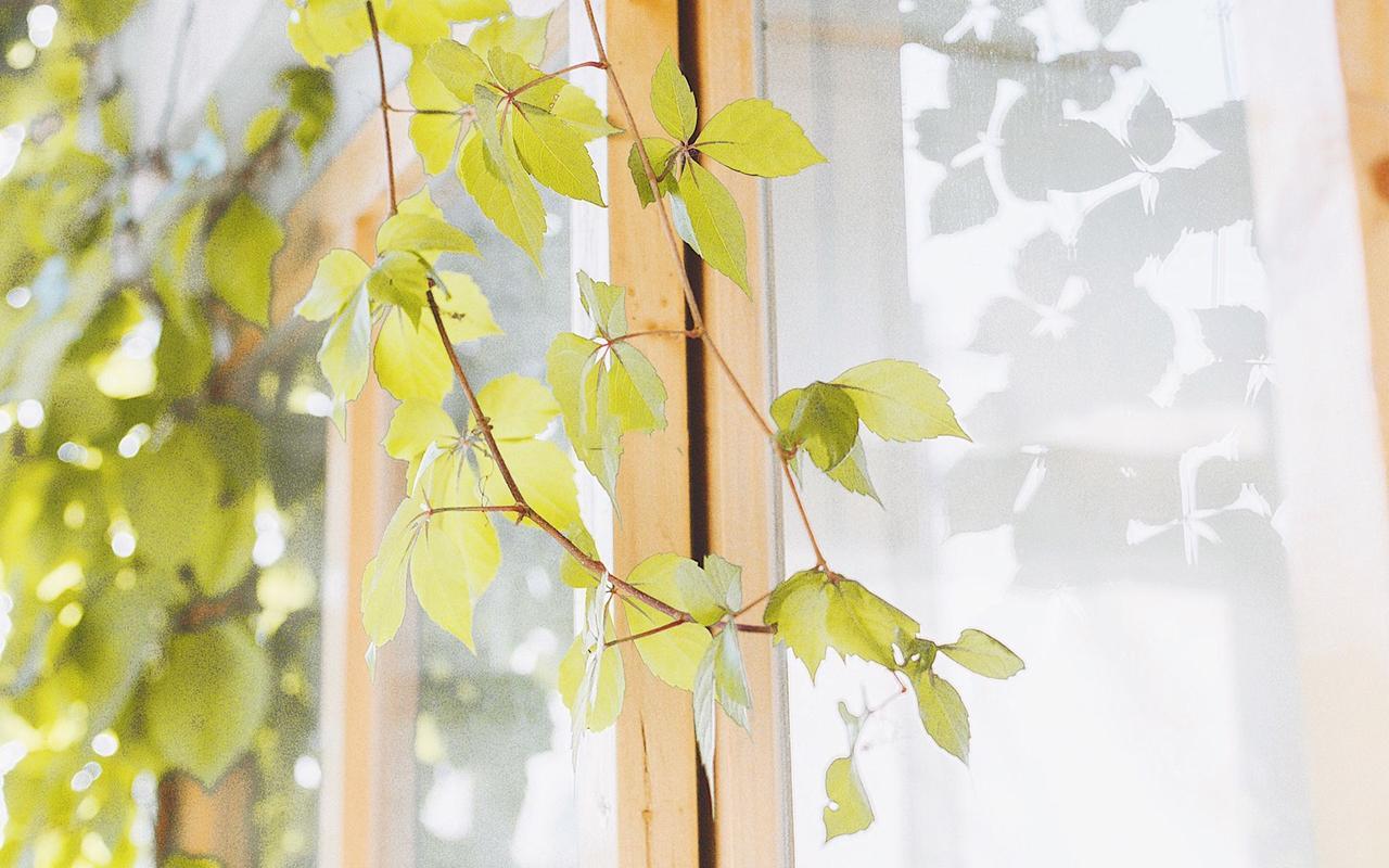 简单平静的生活图片 简单平静的生活图片带字